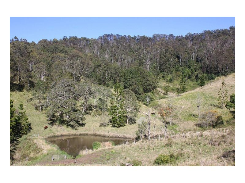 Kyogle NSW 2474