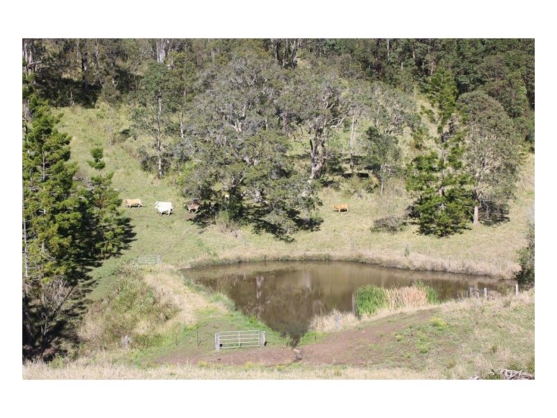 Kyogle NSW 2474