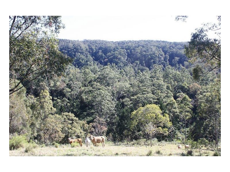 Kyogle NSW 2474