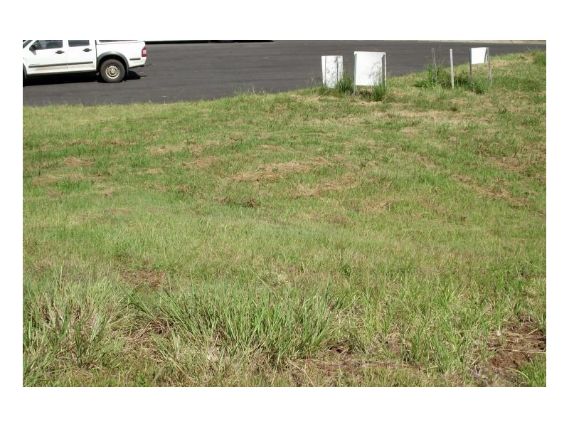 Lot 50 Colin Street, Kyogle NSW 2474
