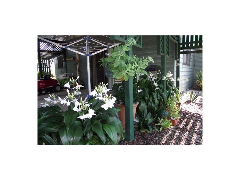 Kyogle NSW 2474