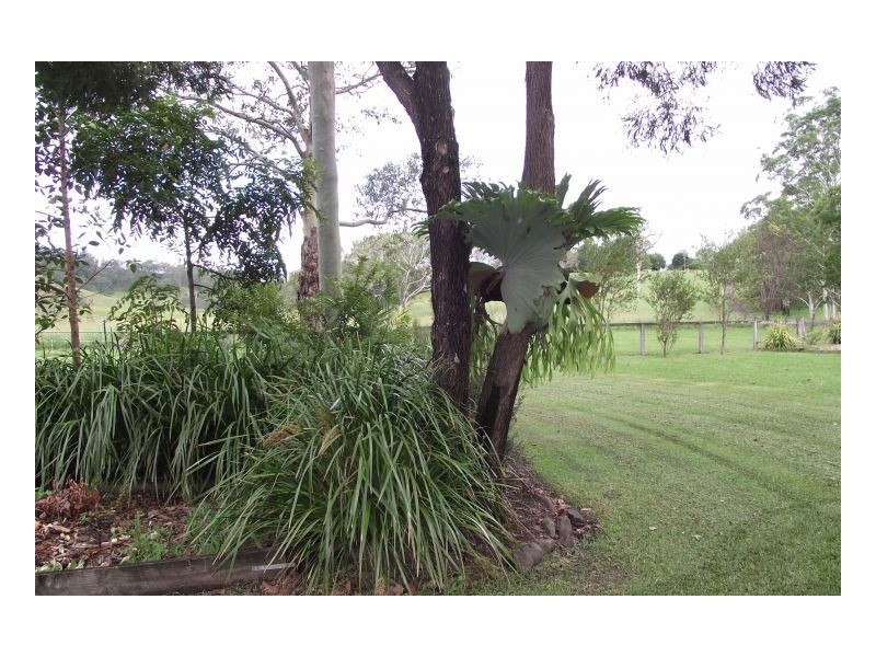 Kyogle NSW 2474