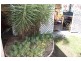 30 Kyogle Road, Kyogle NSW 2474