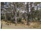 Lot 2 Johnson Street, Bonalbo NSW 2469