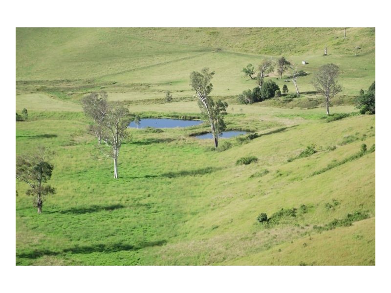 Kyogle NSW 2474