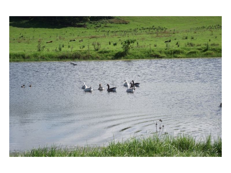 Kyogle NSW 2474