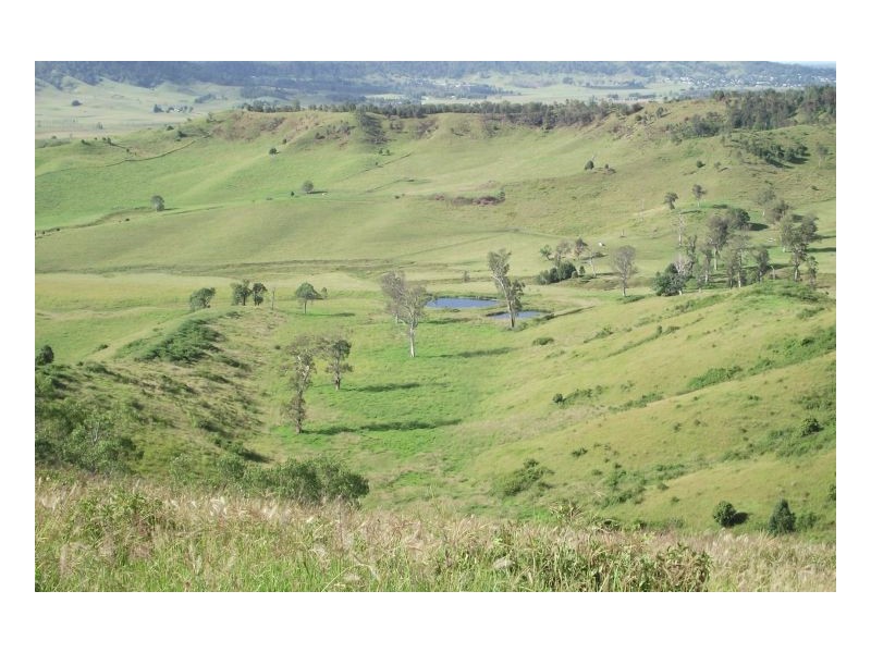 Kyogle NSW 2474