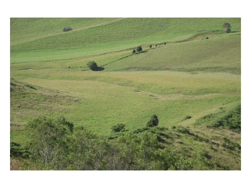 Kyogle NSW 2474