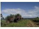 Kyogle NSW 2474
