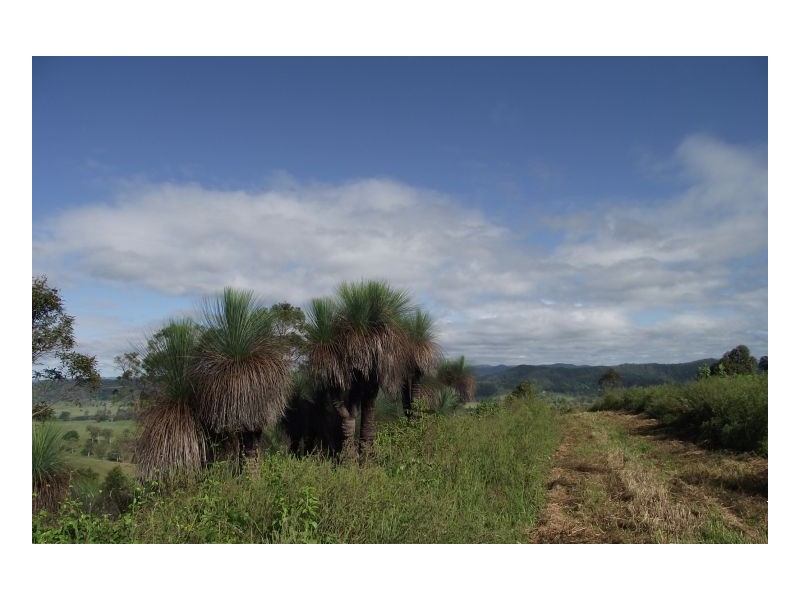 Kyogle NSW 2474