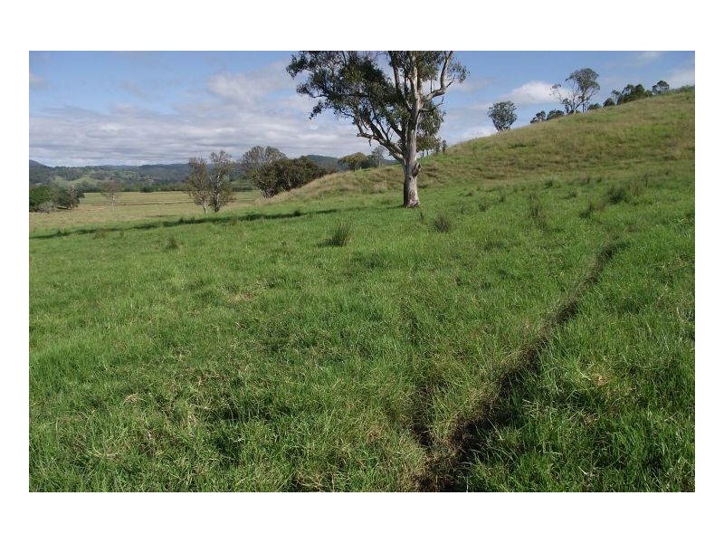 Kyogle NSW 2474