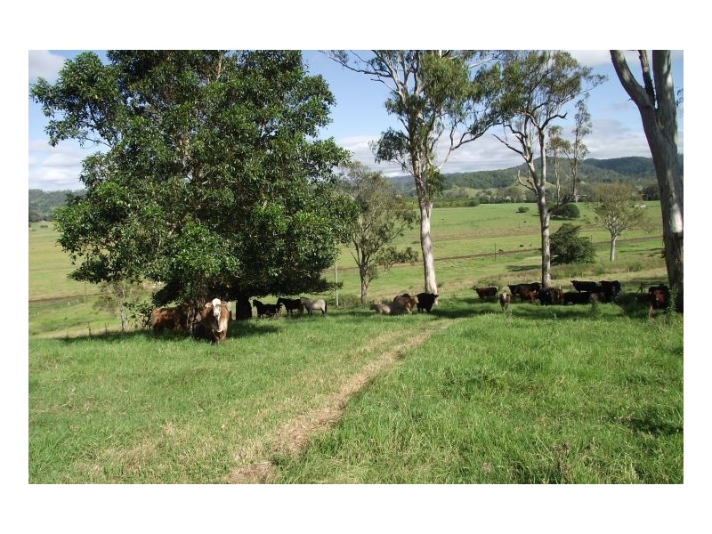 Kyogle NSW 2474