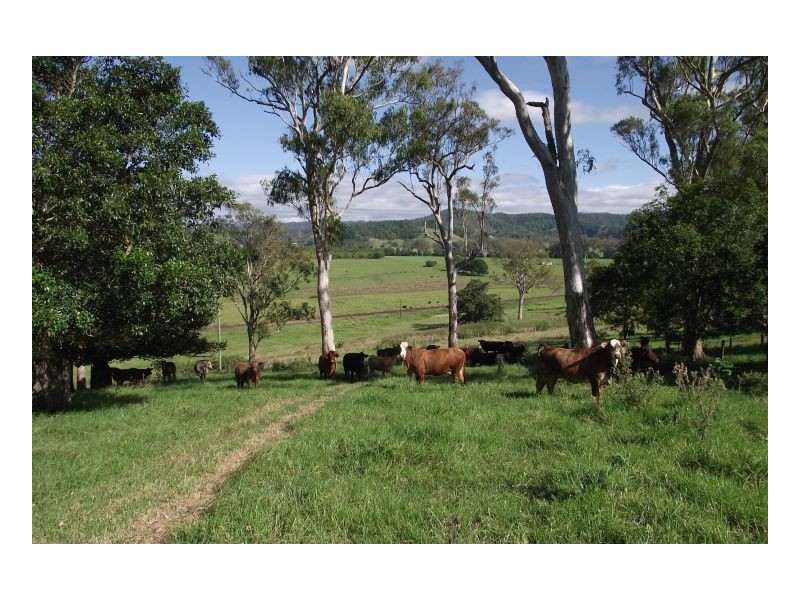 Kyogle NSW 2474