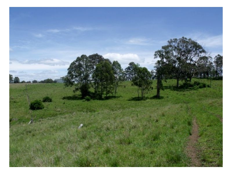 lot4 Homeleigh Road, Kyogle NSW 2474