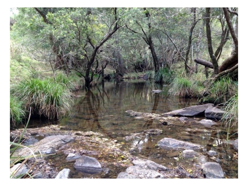 lot4 Homeleigh Road, Kyogle NSW 2474