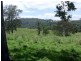 lot4 Homeleigh Road, Kyogle NSW 2474