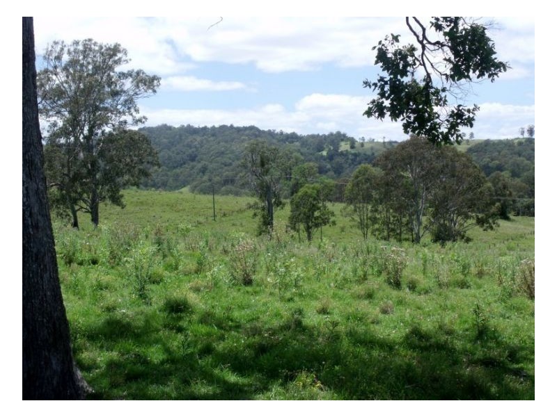 lot4 Homeleigh Road, Kyogle NSW 2474