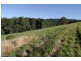 518 Dam Access Road, Kyogle NSW 2474