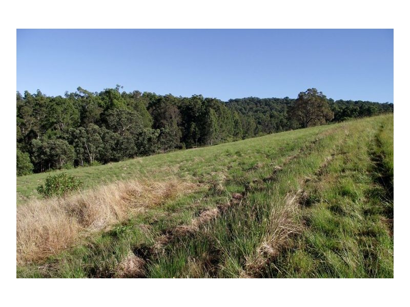 518 Dam Access Road, Kyogle NSW 2474