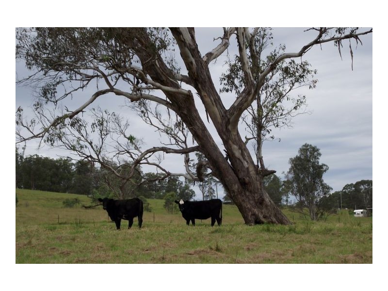 Lot 228 Beaury Creek Road, Urbenville NSW 2475
