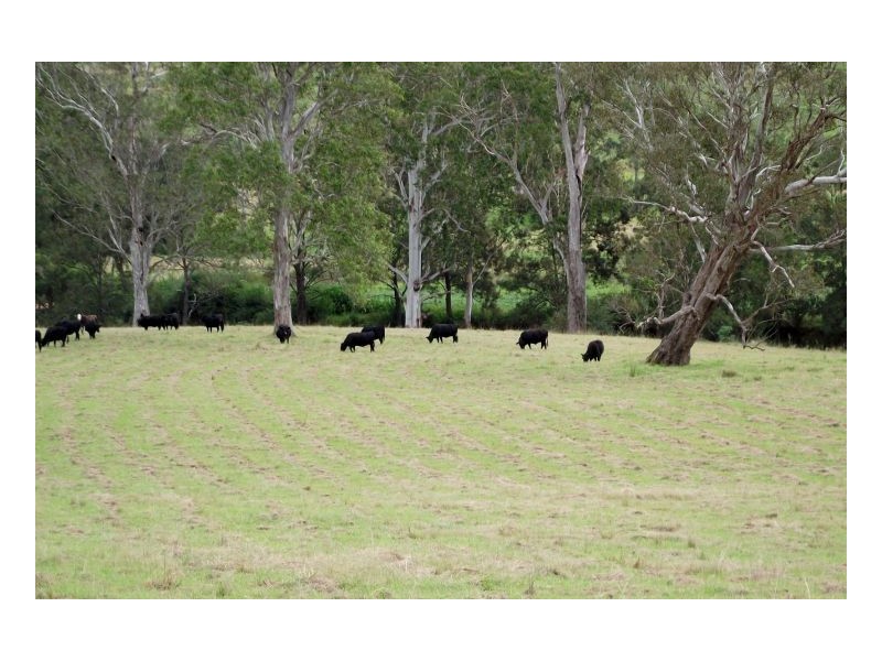 Lot 228 Beaury Creek Road, Urbenville NSW 2475