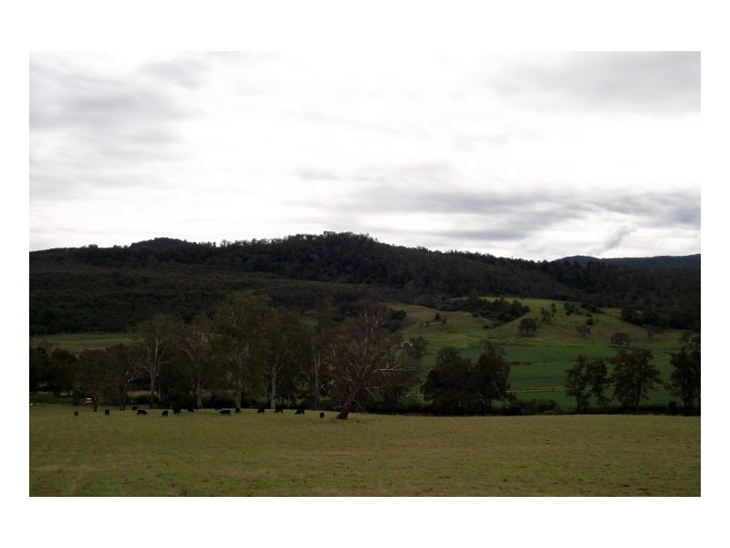 Lot 228 Beaury Creek Road, Urbenville NSW 2475
