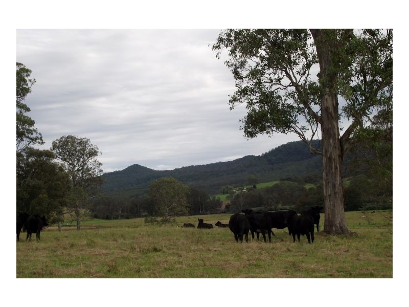 Lot 228 Beaury Creek Road, Urbenville NSW 2475