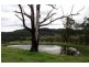Lot 229 Beaury Creek Road, Urbenville NSW 2475