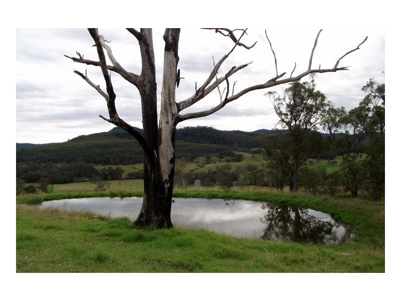 Lot 229 Beaury Creek Road, Urbenville NSW 2475