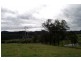 Lot 229 Beaury Creek Road, Urbenville NSW 2475