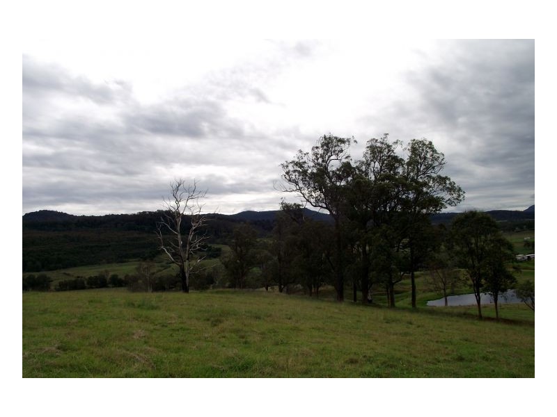 Lot 229 Beaury Creek Road, Urbenville NSW 2475