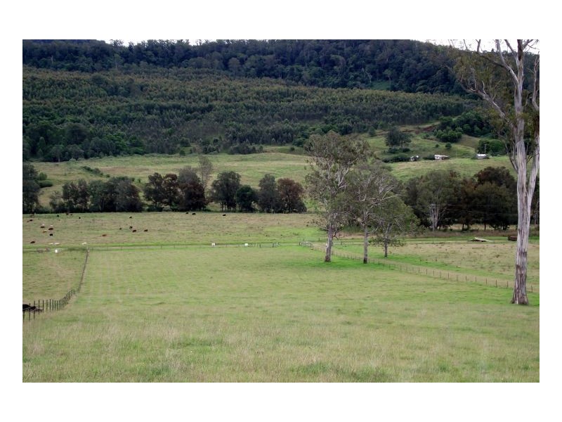 Lot 229 Beaury Creek Road, Urbenville NSW 2475
