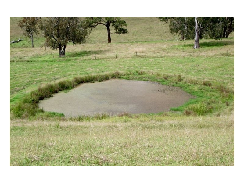Lot 229 Beaury Creek Road, Urbenville NSW 2475
