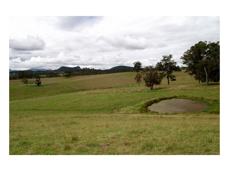 Lot 229 Beaury Creek Road, Urbenville NSW 2475