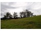 Lot 229 Beaury Creek Road, Urbenville NSW 2475