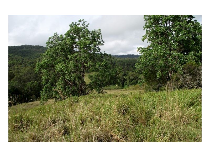 Kyogle NSW 2474
