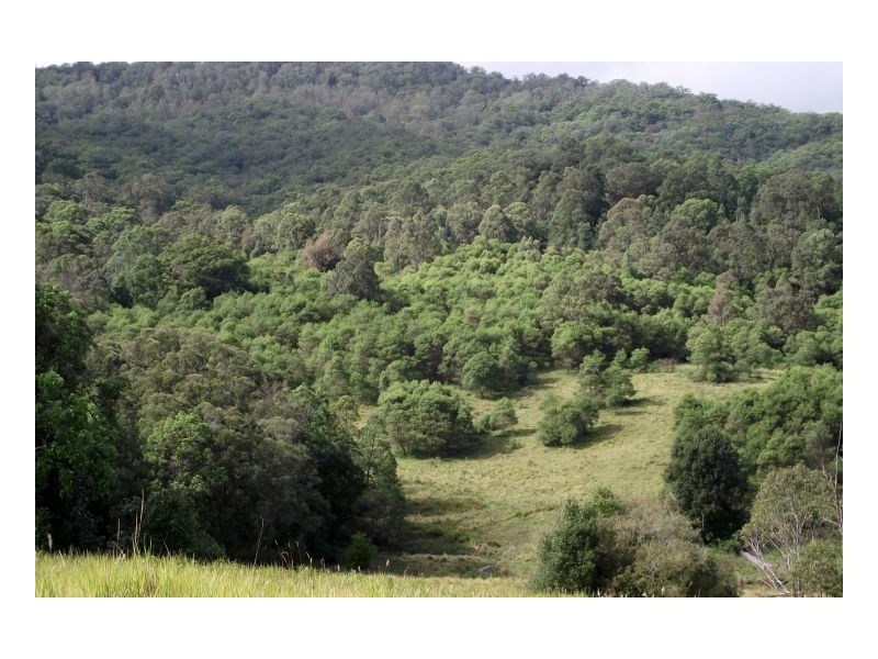 Kyogle NSW 2474