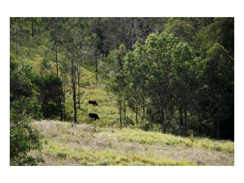Kyogle NSW 2474