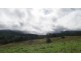Kyogle NSW 2474
