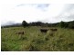 Kyogle NSW 2474