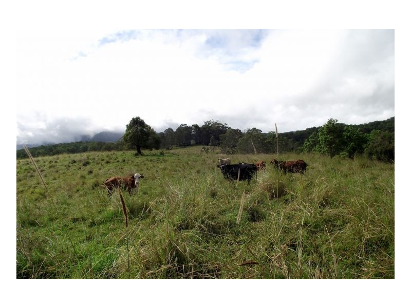 Kyogle NSW 2474