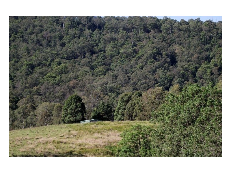 Kyogle NSW 2474