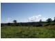 Kyogle NSW 2474
