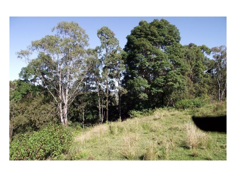 Kyogle NSW 2474