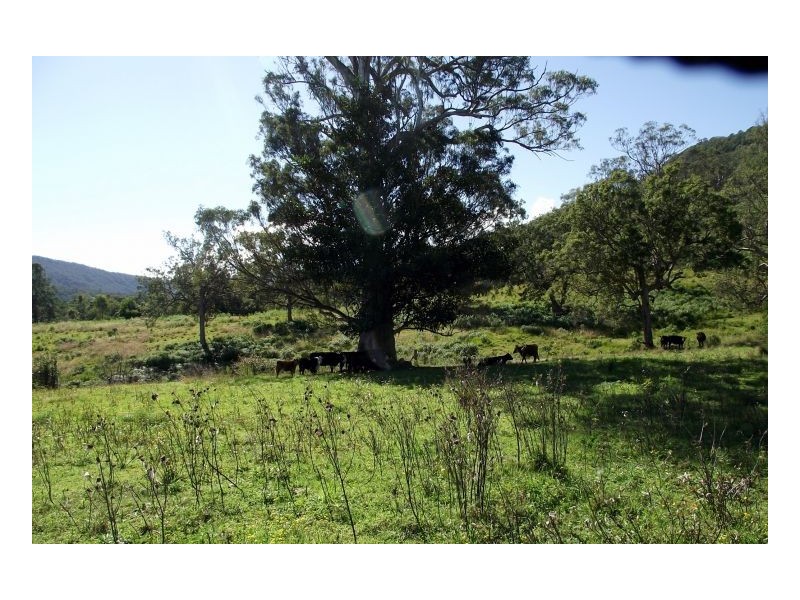 Kyogle NSW 2474
