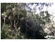 Kyogle NSW 2474