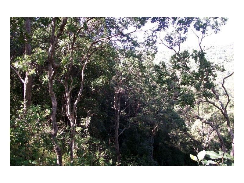 Kyogle NSW 2474