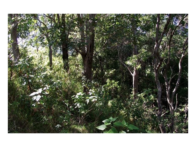 Kyogle NSW 2474