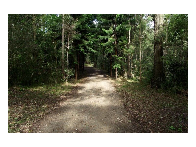 25 Dingo Gully Road, Kyogle NSW 2474