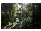 25 Dingo Gully Road, Kyogle NSW 2474